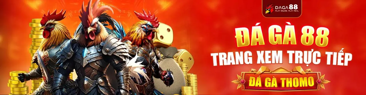 Đá Gà Trực Tuyến Hấp Dẫn tại 80king88